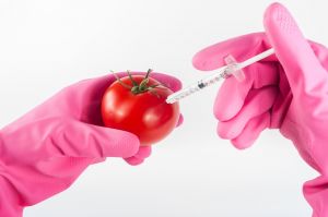 Mi az igazság a GMO-ról?
