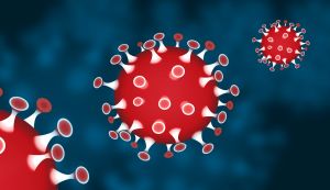 Holland kutatók rájöttek, miért veszélyeztettebbek a férfiak a koronavírus-fertőzésre