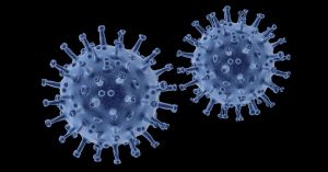 A vírusfertőzés lefutását szimuláló modellt készítettek az SZTE kutatói