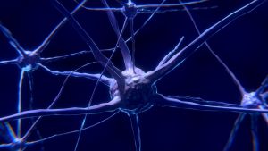 Nemzeti laboratórium jött létre idegrendszeri betegségek gyógyításának módszertani javítására