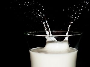 Vitathatatlan a tejtermékek szerepe az egészséges táplálkozásban