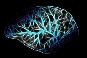 Az idegsejtek plaszticitásának új aspektusát tárták fel magyar kutatók