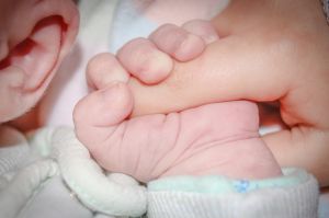 Óriási baki, felcserélték az embriókat egy Los Angeles-i klinikán