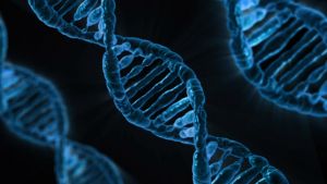 Új DNS-struktúrát fedeztek fel a tudósok az emberi sejtekben
